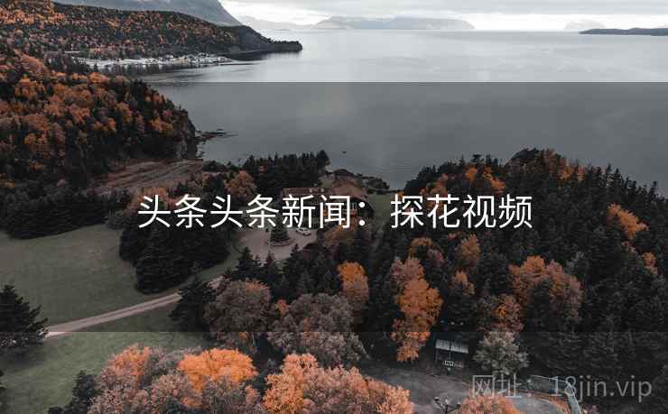头条头条新闻：探花视频