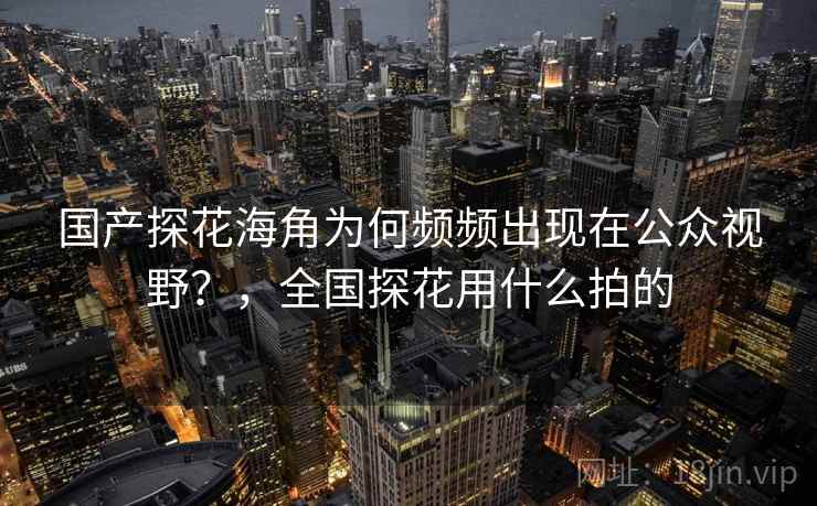 国产探花海角为何频频出现在公众视野？，全国探花用什么拍的