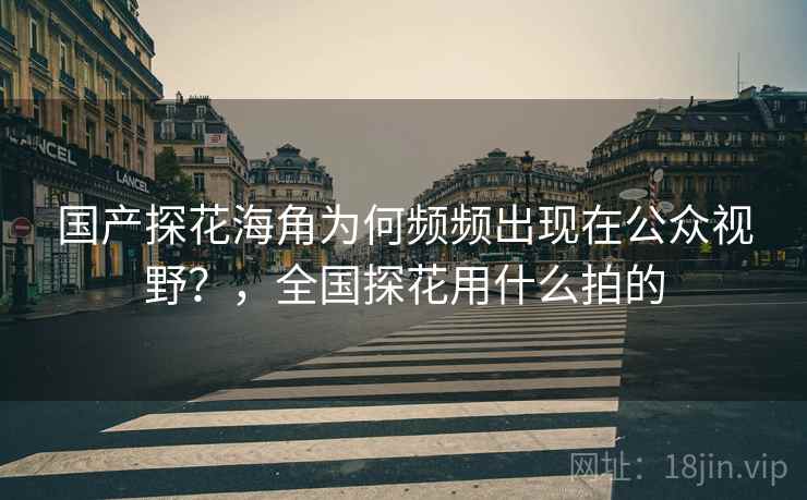 国产探花海角为何频频出现在公众视野？，全国探花用什么拍的