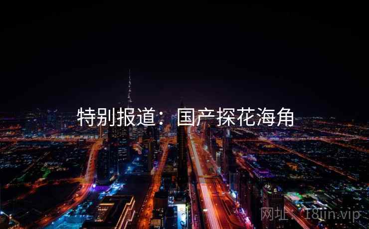 特别报道：国产探花海角