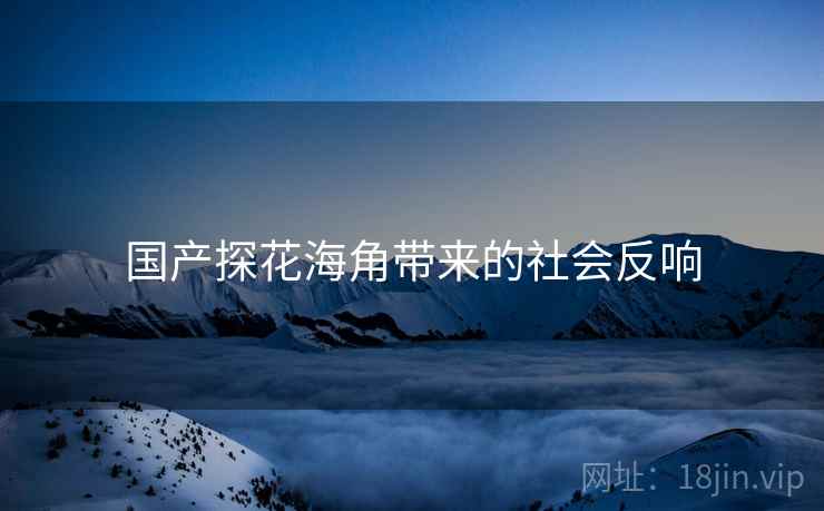 国产探花海角带来的社会反响