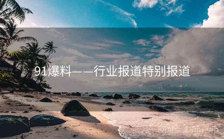 91爆料——行业报道特别报道