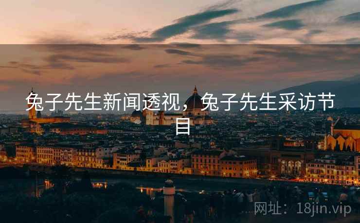 兔子先生新闻透视，兔子先生采访节目