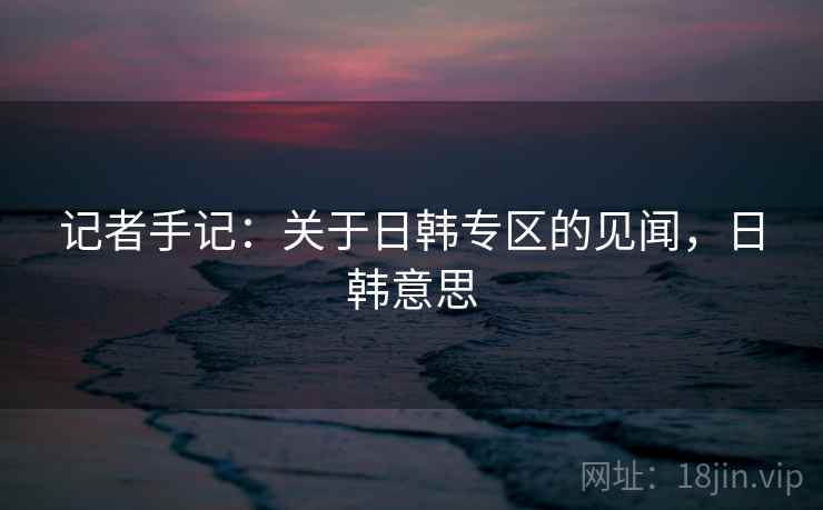 记者手记：关于日韩专区的见闻，日韩意思