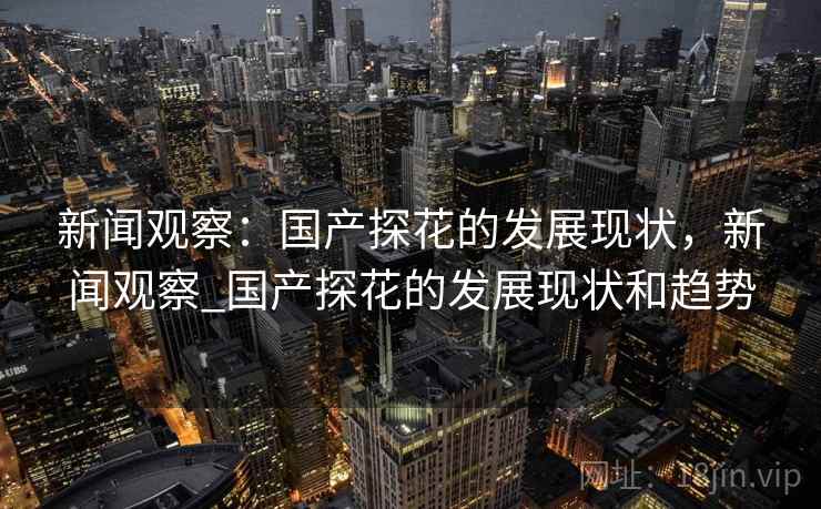 新闻观察：国产探花的发展现状，新闻观察_国产探花的发展现状和趋势