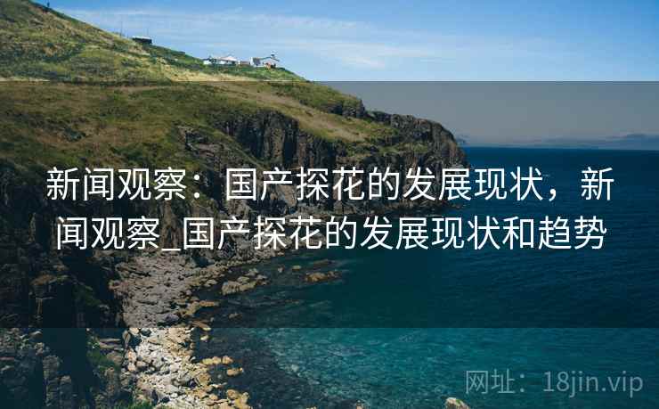 新闻观察：国产探花的发展现状，新闻观察_国产探花的发展现状和趋势