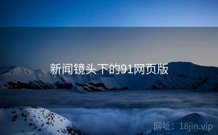 新闻镜头下的91网页版