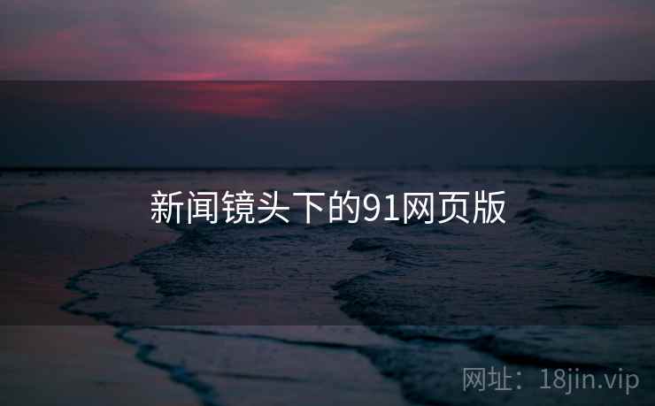 新闻镜头下的91网页版