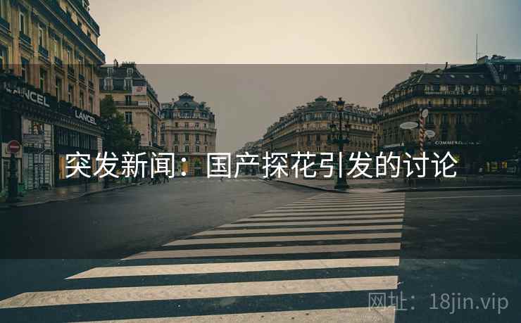 突发新闻：国产探花引发的讨论