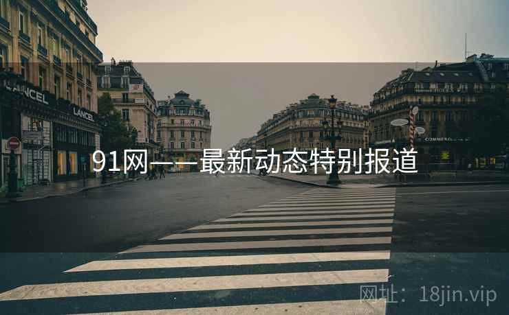 91网——最新动态特别报道
