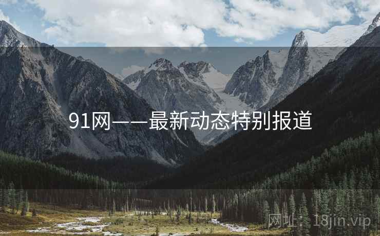 91网——最新动态特别报道