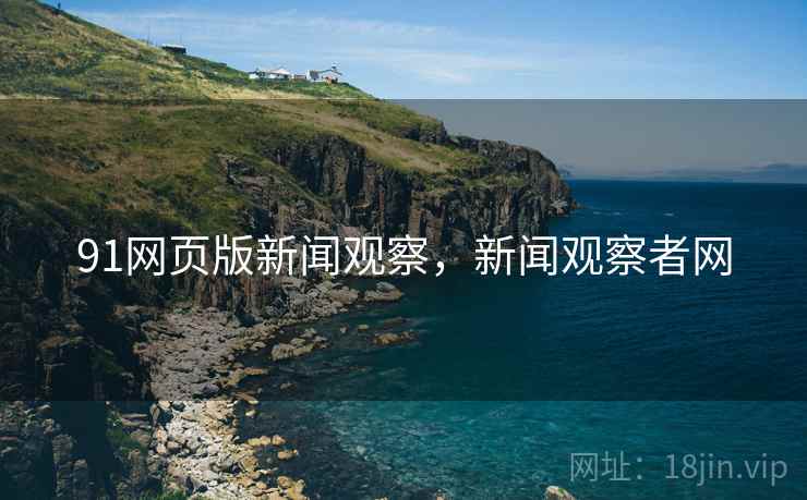 91网页版新闻观察，新闻观察者网
