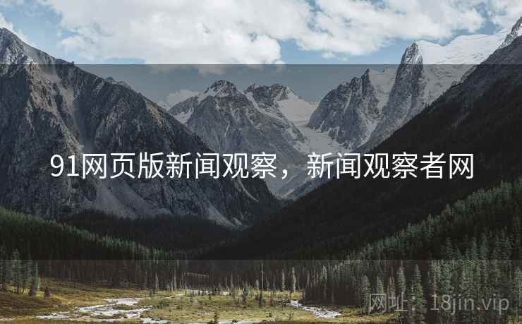 91网页版新闻观察，新闻观察者网