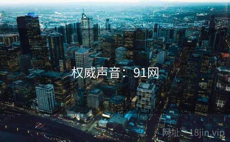 权威声音：91网